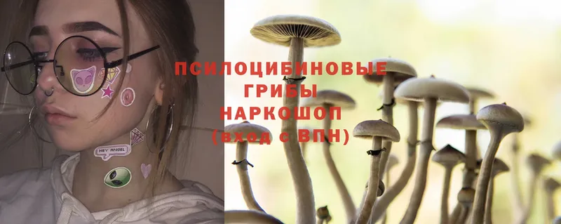 Галлюциногенные грибы Magic Shrooms  сайты даркнета клад  Губкинский 